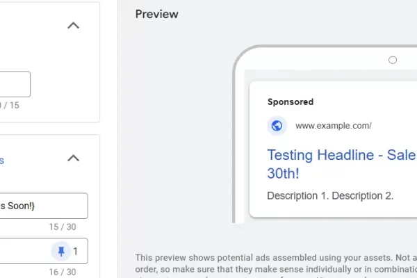You can test your ad customizer by adding the correct code in one of the headline fields. Pin it to a top position so you can see it in the ad preview.